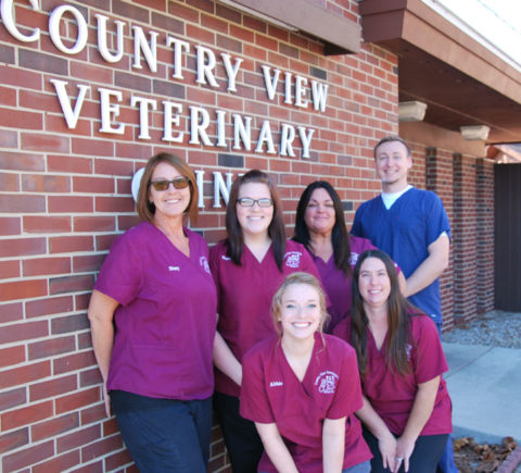 Best Veterinary Hospital In Champaign, IL | Country View Veterinary Clinic