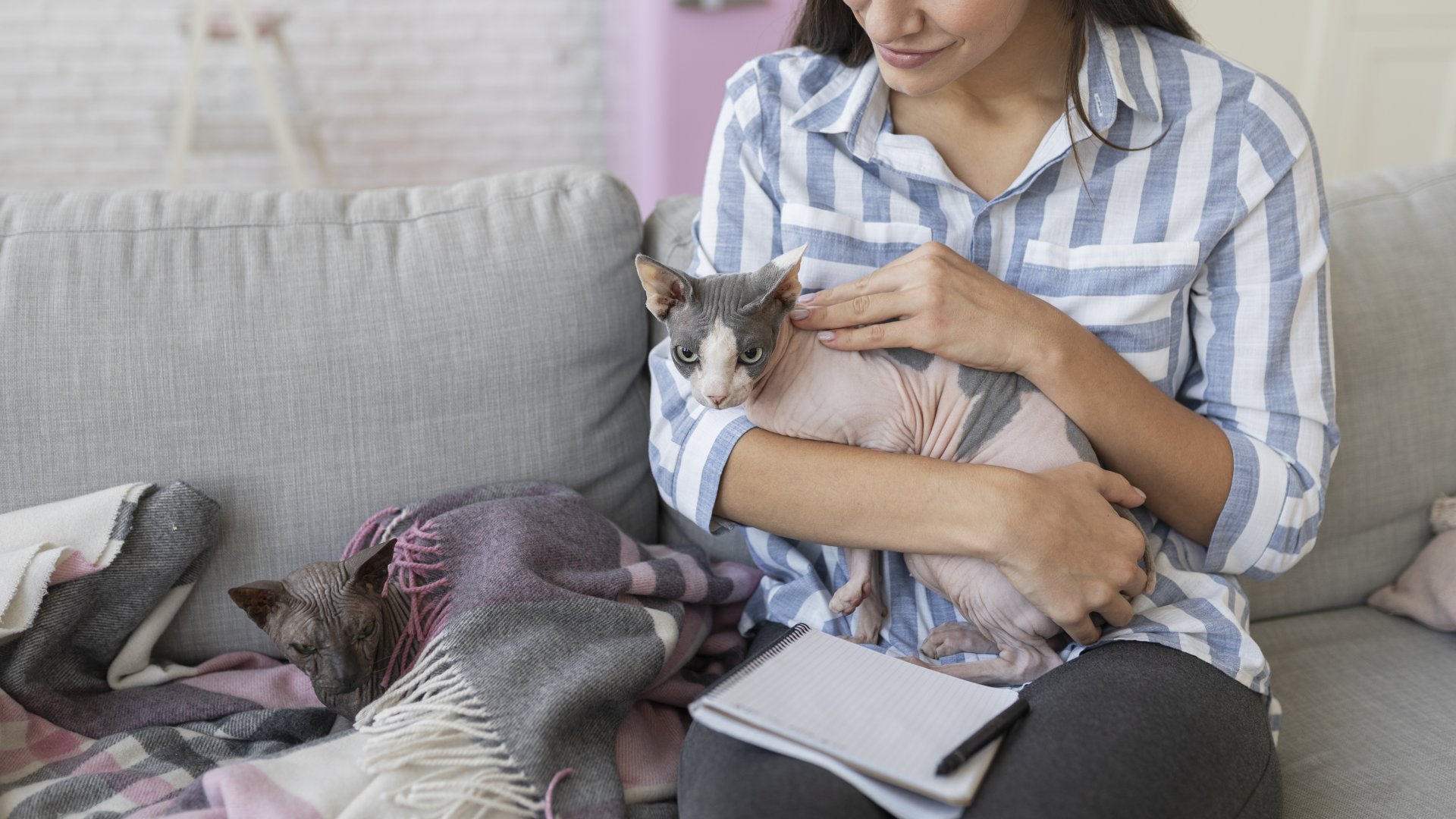 Pet Behavioral Counseling In Champaign IL Country View Veterinary Clinic