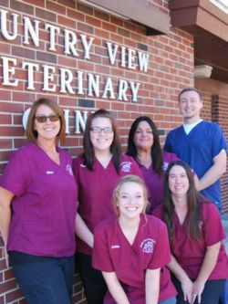 Best Veterinary Hospital In Champaign IL Country View